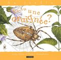 Es-tu une araignée ?