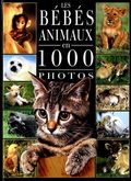 Les Bébés Animaux en 1000 photos