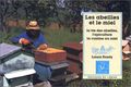 Les abeilles et le miel